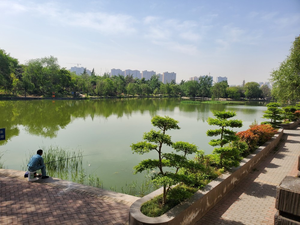 咸阳湖景区之渭滨公园美景