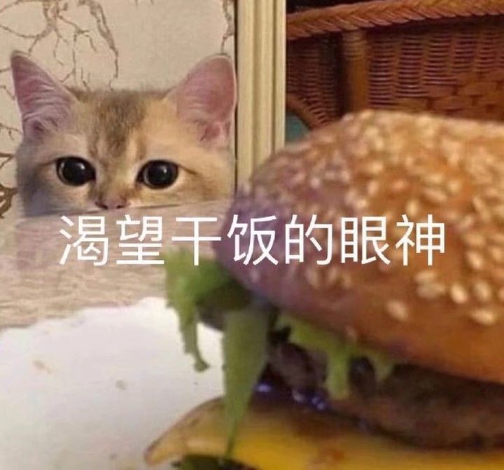 干饭人专属表情包