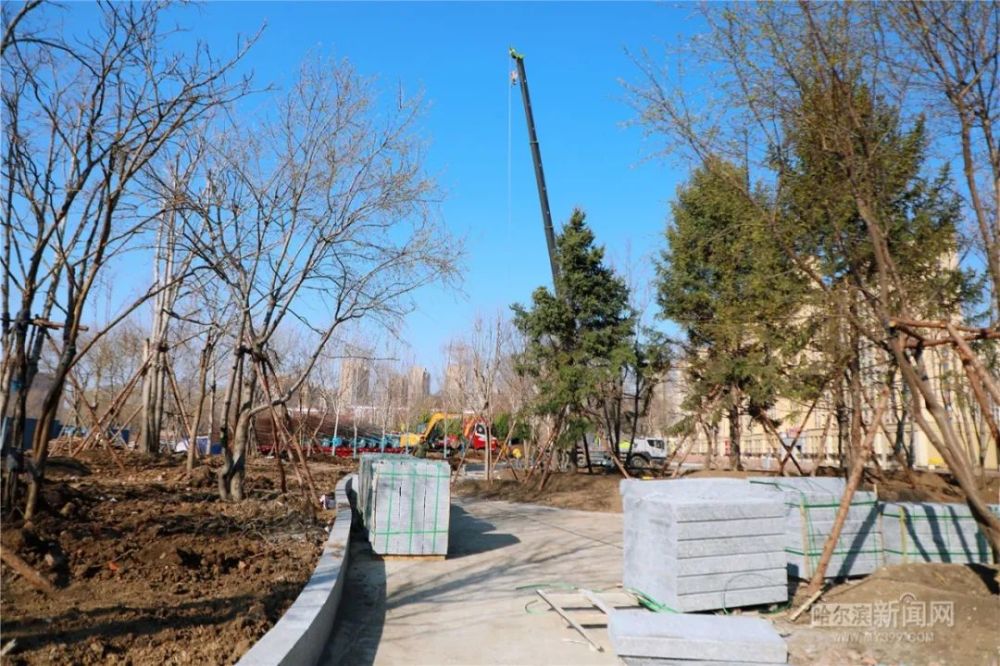 又一休闲好去处,南岗区这处新建公园绿地