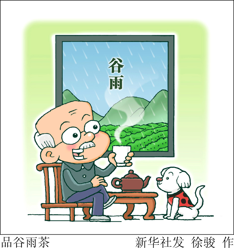 (图表·漫画)【二十四节气·谷雨】品谷雨茶