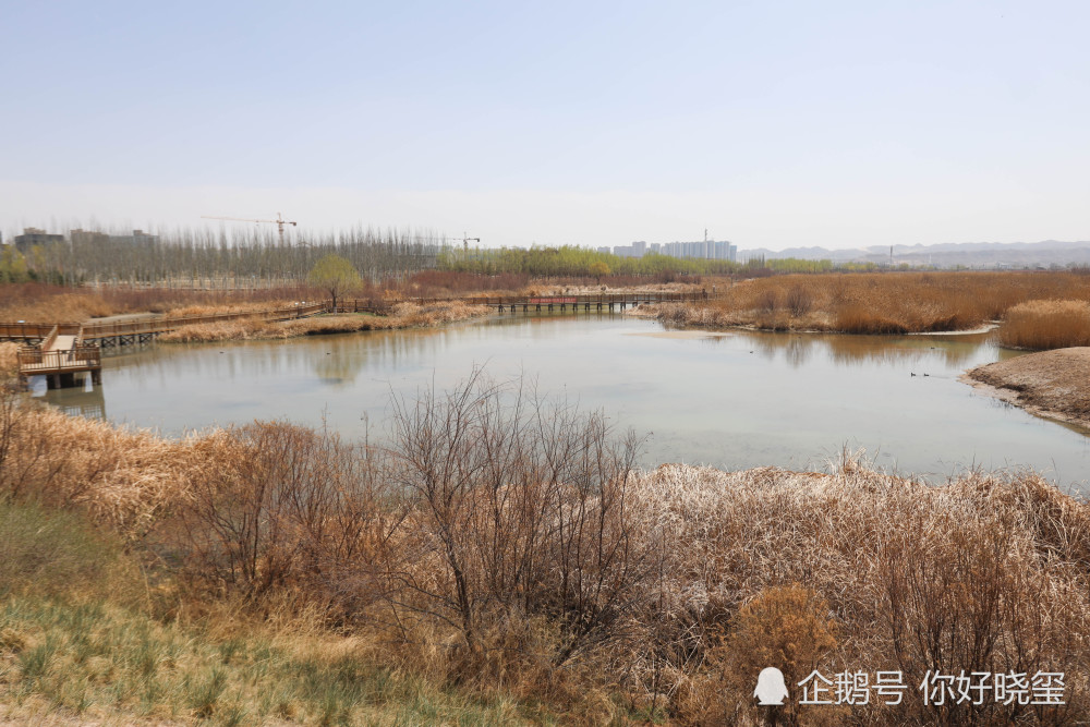 远赴人间惊鸿宴,哪里春游最舒坦,当属【秦王川国家湿地公园】