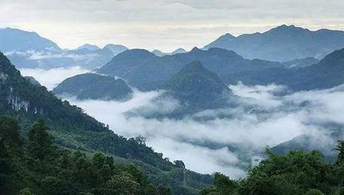 不来临沧,你怎能懂茶的世界?