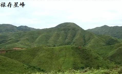 禄存星峰,多数为土金兼形,其山形上体圆方如鼓,下体肥大如葫芦形.