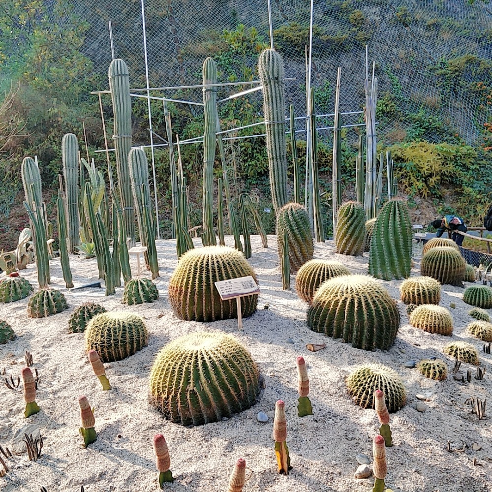惠州市植物园