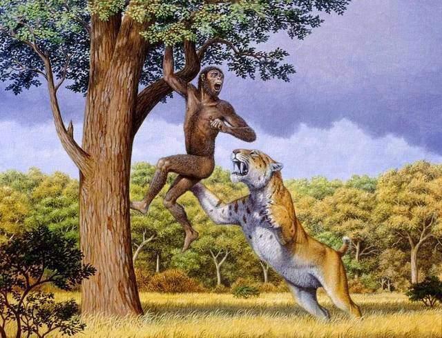 战斗力较弱的原始人类,是如何从史前动物中"杀出重围"