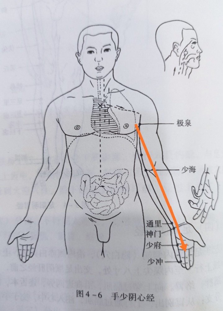 今天我们来一起探讨我们十二经络里的手少阴心经经络路线图