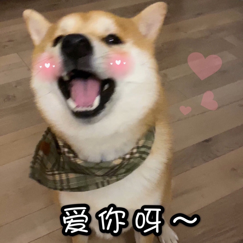 狗子表情包|收藏收藏