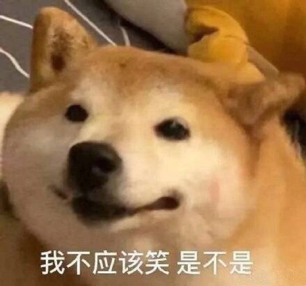 狗子表情包|收藏收藏