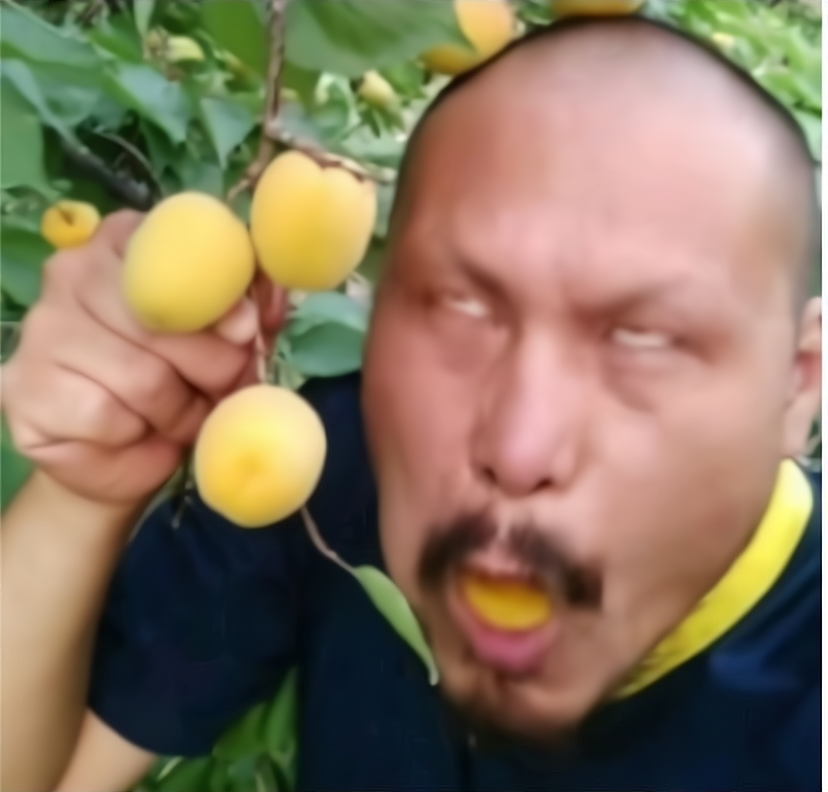 有很多人问我黑布林大李子甜不甜!甜!