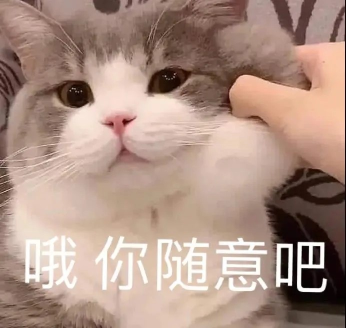 可爱的猫猫表情包