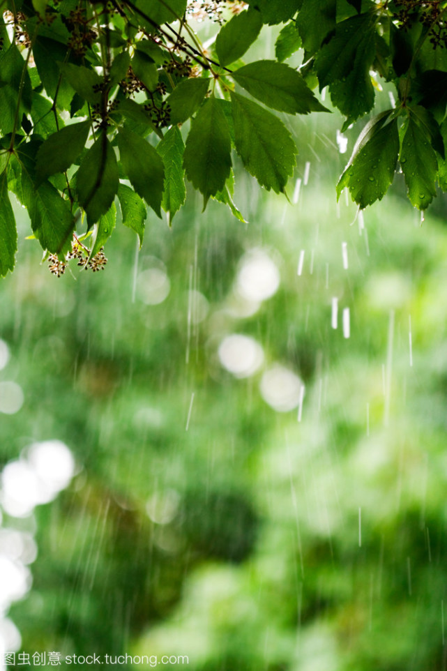 我喜欢雨滴落下的声音,滴答滴答,特别是在雨夜,雨滴纯纯的声音像音乐