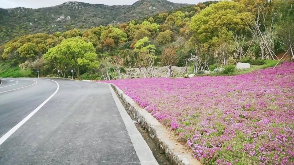 浙江舟山最美公路螺塘线部分路段将禁止大型客车黄牌货车摩托车通行