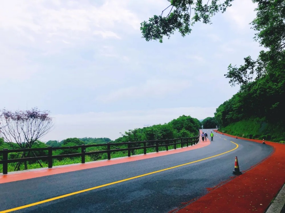 浙江舟山:"最美公路"螺塘线部分路段将禁止大型客车,黄牌货车,摩托车