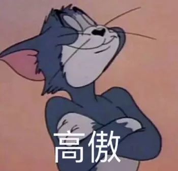 可爱沙雕表情包:我要去见你了,好激动