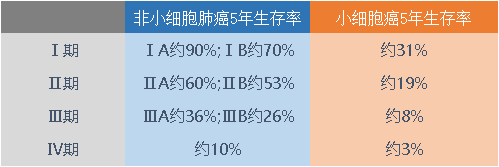 早期指导辅助靶向治疗,晚期指导靶向治疗和免疫治疗;肺癌的肿瘤分期越