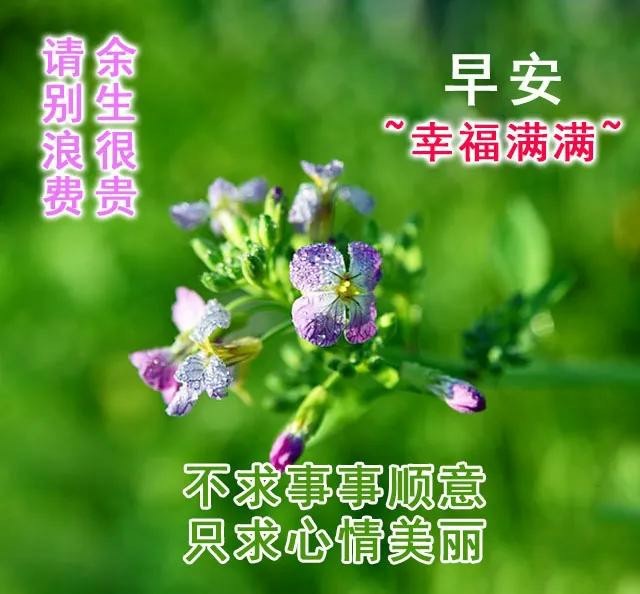 早上好祝福词句,早安祝福图片,最美的问候早上安康,我