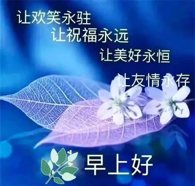 早上好祝福词句,早安祝福图片,最美的问候早上安康,我