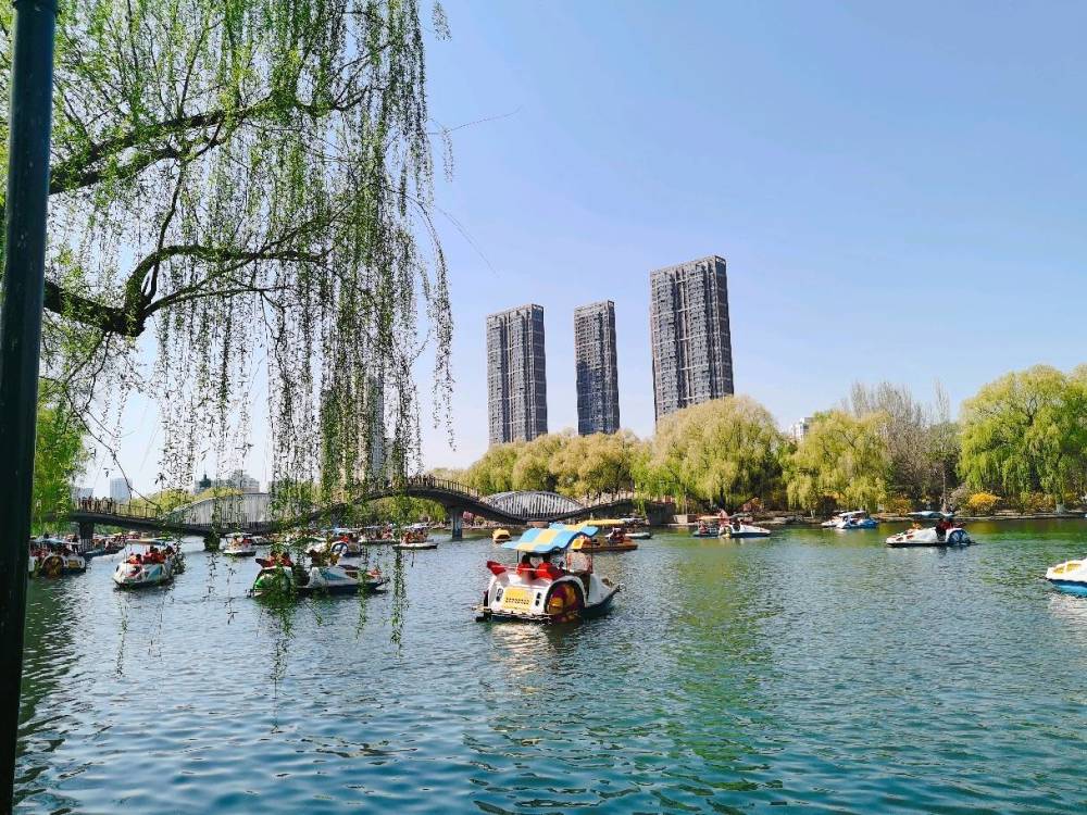 沈阳南湖公园绿色风景