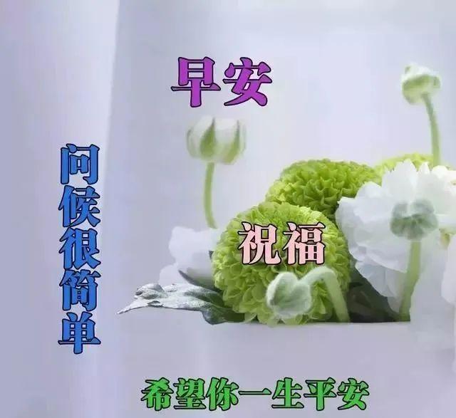 早上好精选祝福语句图片,清晨如此清新美丽,心情快乐!