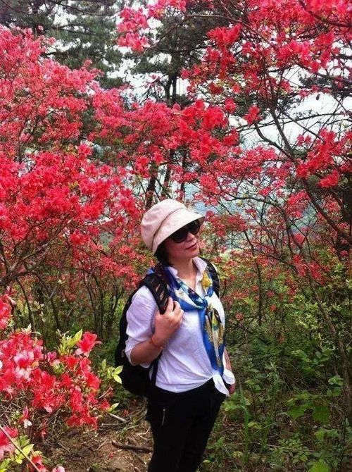【爬山】4月24日(周六),磐安高姥山杜鹃约吗?