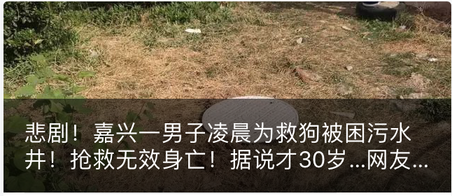 最新后续!嘉兴男子救狗被困不幸身亡!