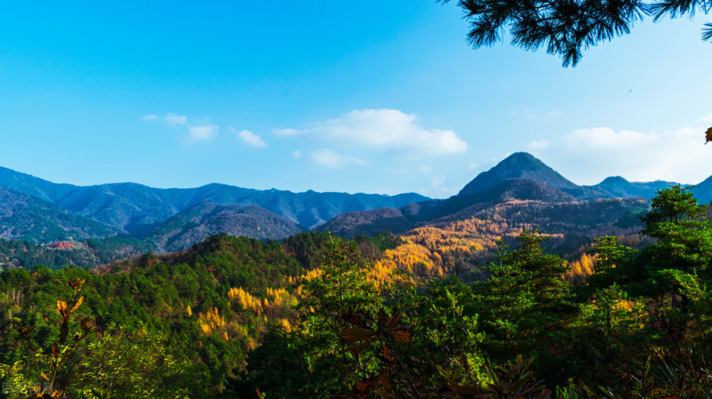 放下世俗事问道秦岭山