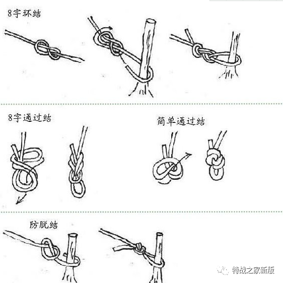 绳子的知识:绳结的打法(超全静态图,动态图)