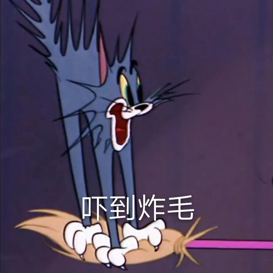 表情包|猫和老鼠