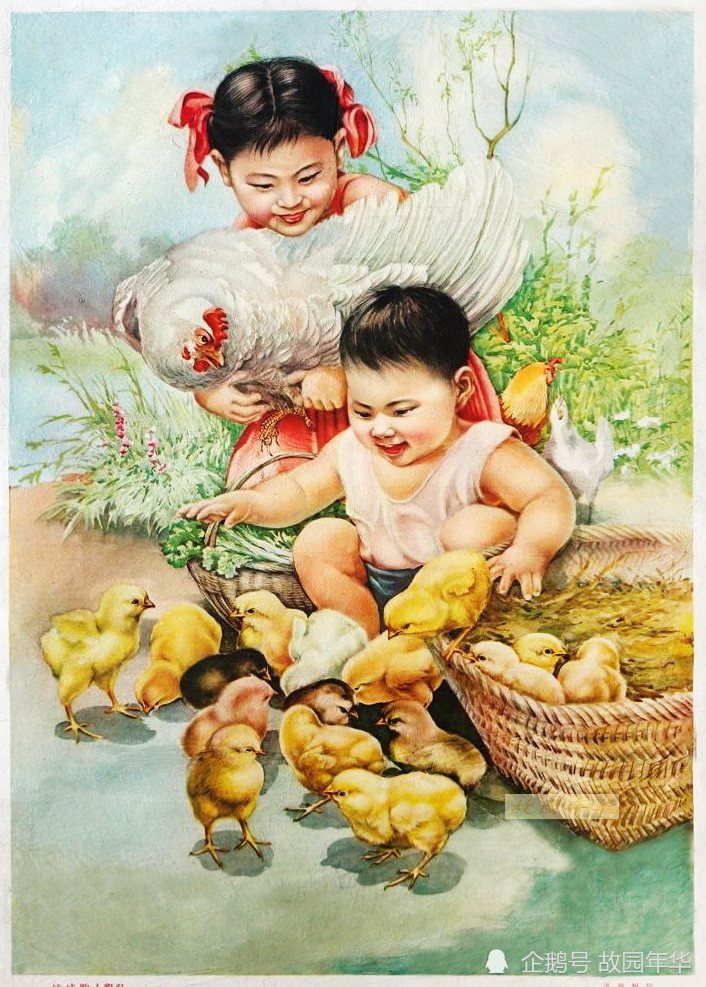 1960年出版,张瑞恒大师作品,娃娃胖小鸡壮.小鸡画得很是灵动.