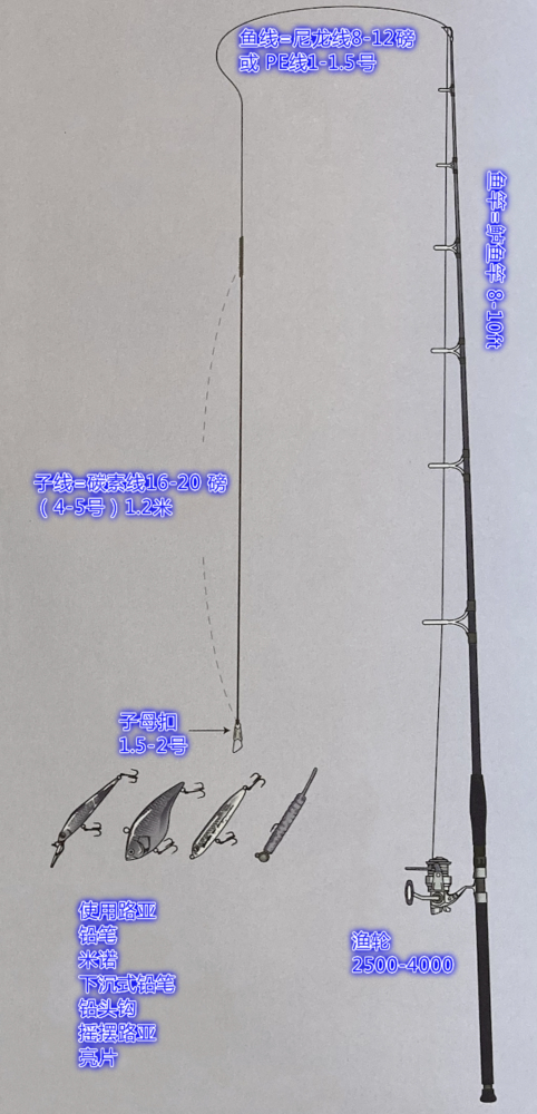 这一时期,它们主要的追捕对象是近岸的沙丁鱼和小鳞篮等洄游中的小鱼