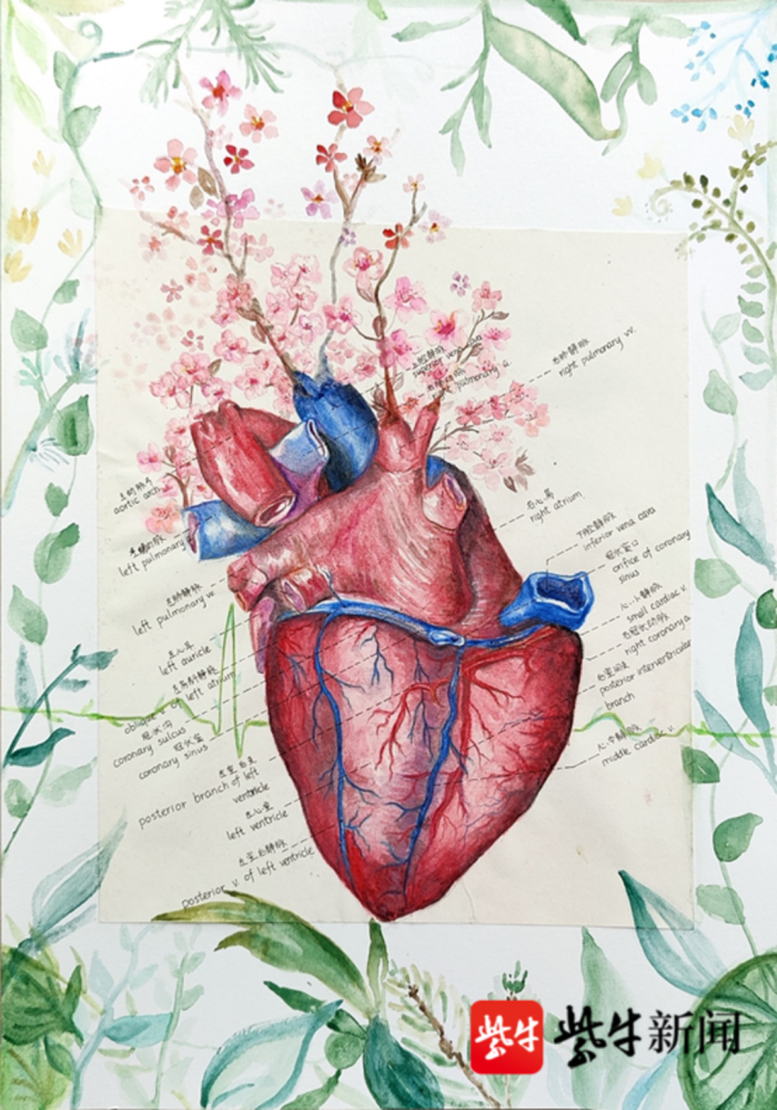 医笔生花医学生解剖绘图大赛画作还可以这么美