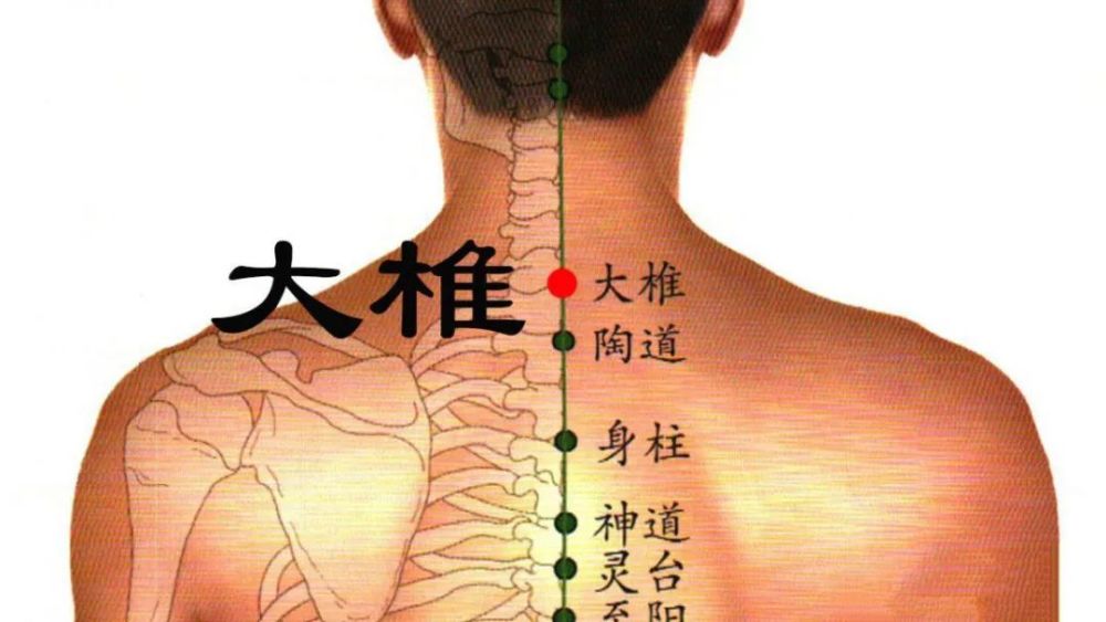 大椎穴,古人称之为" 诸阳之会".