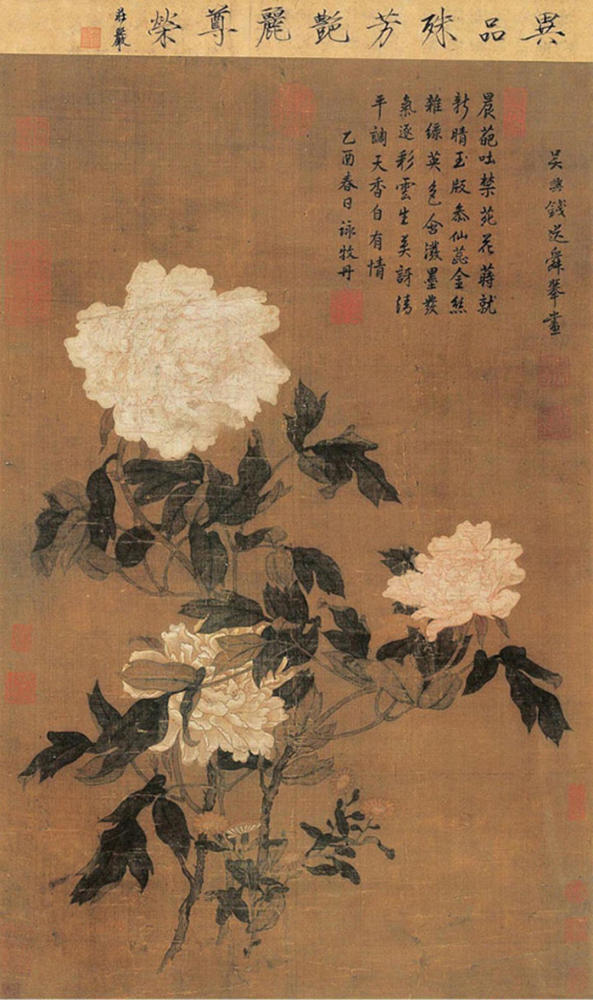 我们的节日61口述民俗丨初候萍始生谷雨时节赏牡丹