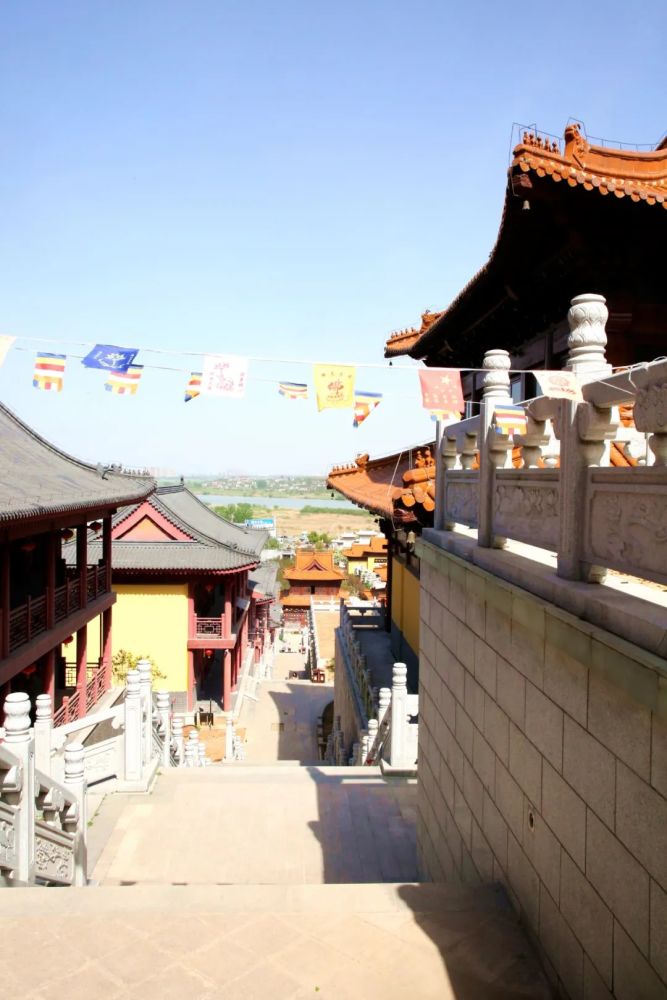 古刹重辉百年藤木怀远大圣寺我们来了