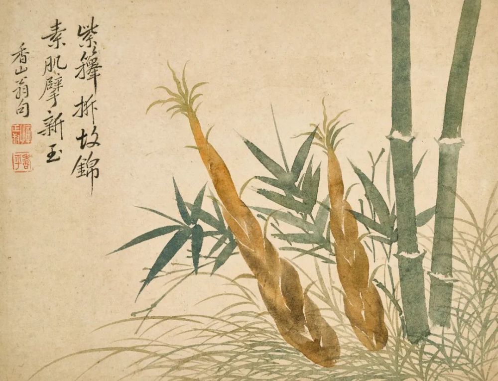 春天多美好——恽南田《花果册》欣赏