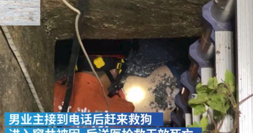 嘉兴一男子为救宠物狗被困污水井身亡,家中还有4岁和6个月的孩子