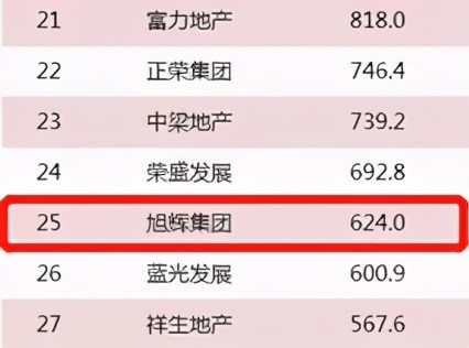 旭辉集团排名_旭辉集团(2)
