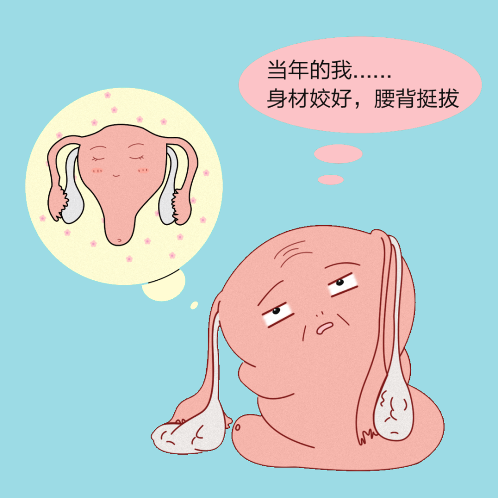 【江湾课堂】付灵梅教授解读:卵巢功能与女性生育力