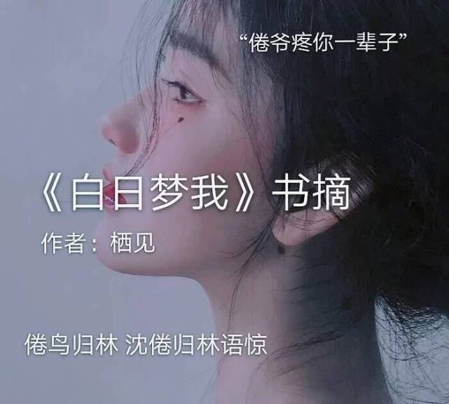 白日梦我倦鸟归林