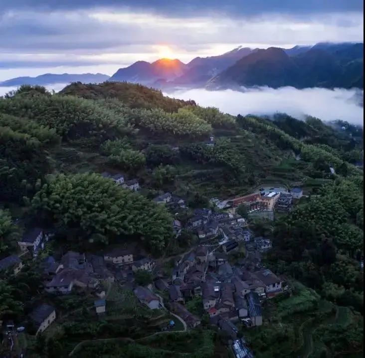 悬崖古村的蝶变:松阳陈家铺村的乡村振兴之路