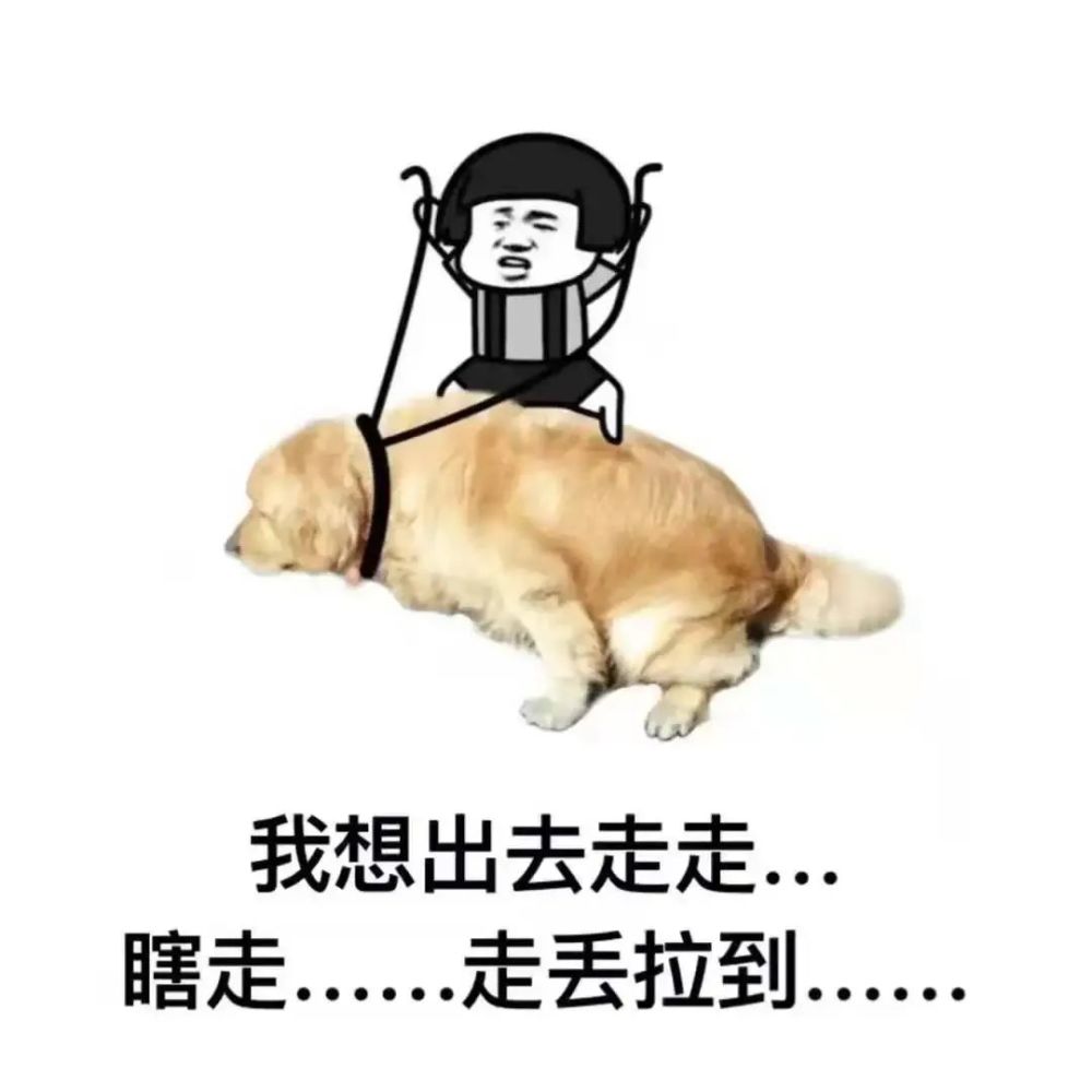 热门表情包大合集丨栋梁之才
