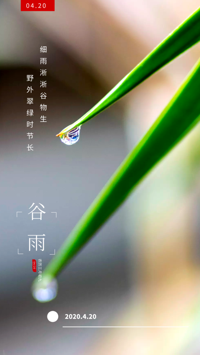 宋 朱槔《谷雨》雨农历三月初九谷