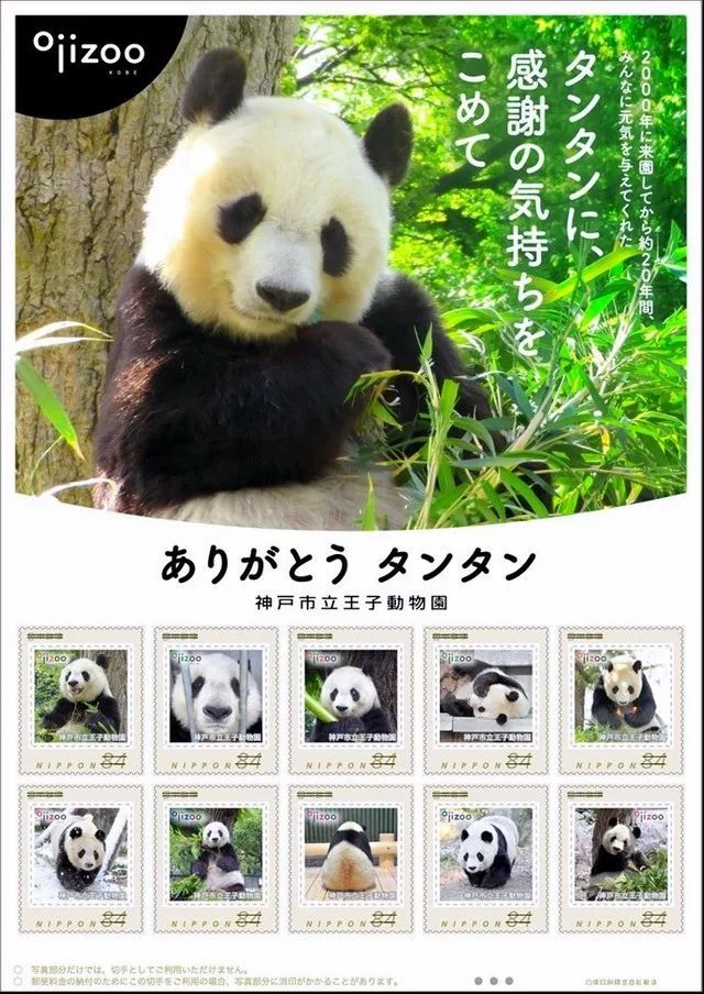 在歌山县生活的雄性大熊猫永明如今还保持着一项世界纪录,28岁的它是
