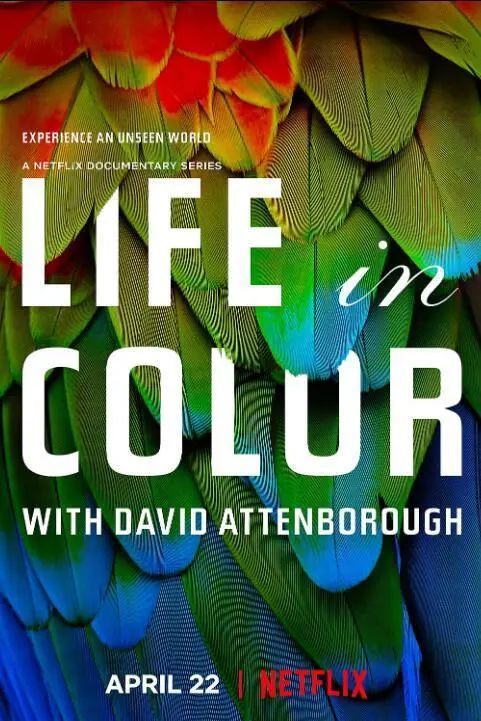 共同推出自然纪录片《life in color(自然本色)