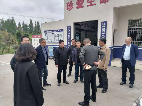 荆州市公路事业发展中心调研白马寺镇创建省级"四好农村路"示范乡镇