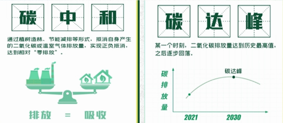 碳中和碳达峰深圳市民践行美丽中国