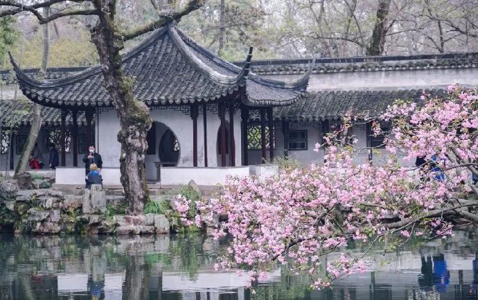 谷雨春晓
