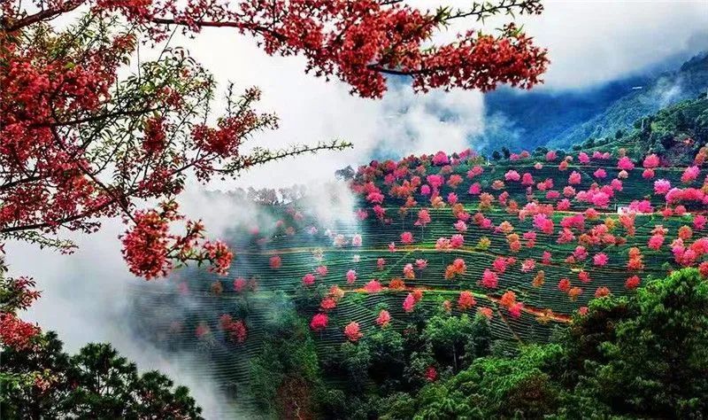 【美景】什么是无量山?