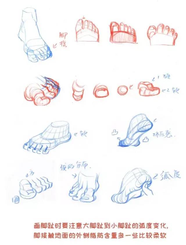 【干货】脚部手绘表达素材