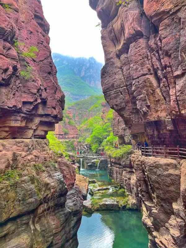 谷雨蒙蒙!河南云台山春景如画,云海翻涌